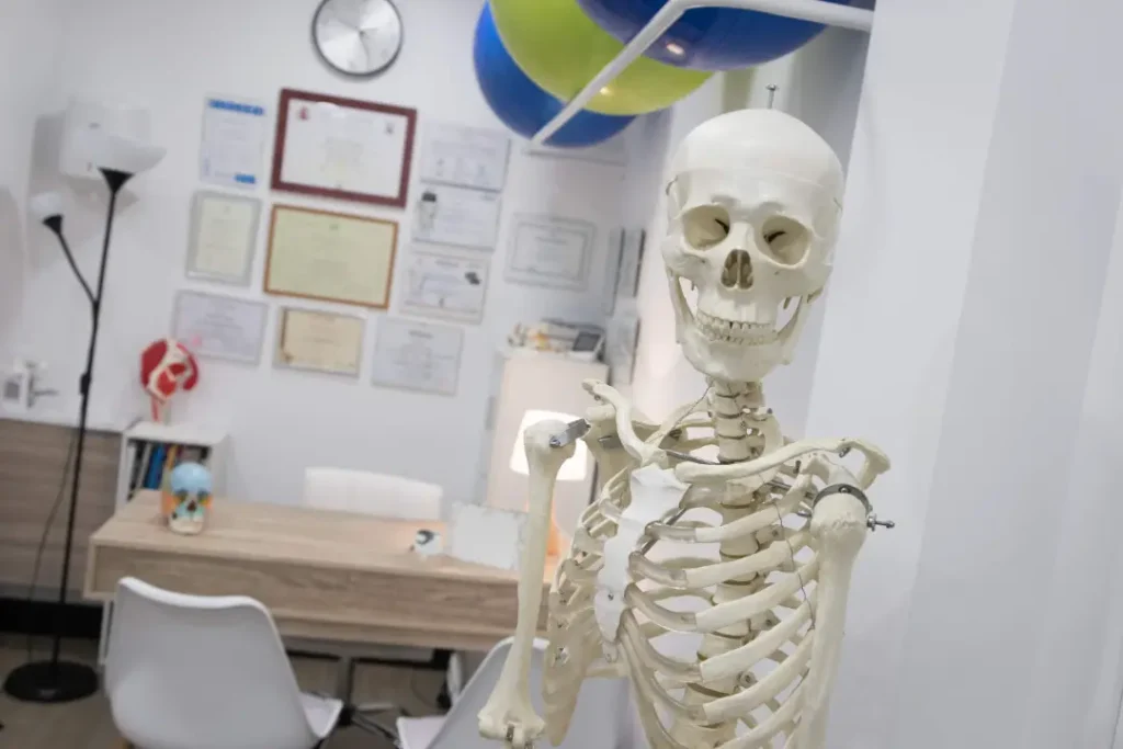 Modelo anatómico del esqueleto en una consulta de SD Clinic
